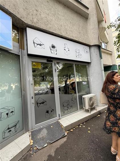 Ion Mihalache, spatiu comercial 240 mp - 4