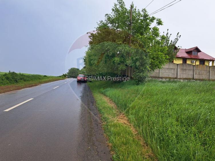 Teren Ciolpani 15.000 mp oportunitate posibilitate lotizare 5000 mp - 5