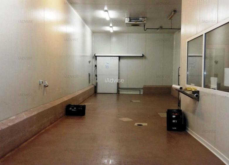 Spatiu industrial Bartolomeu/ Depozit frigorific - 3