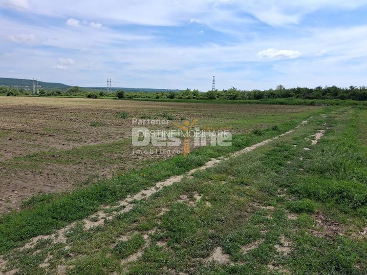 Teren Extravilan de Vânzare – Mărăcineni, Sat Argeșelu - 5