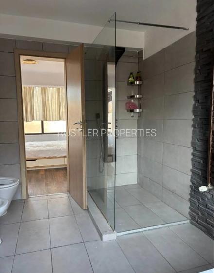 Vila individuala langa Lacul Baneasa  - 5