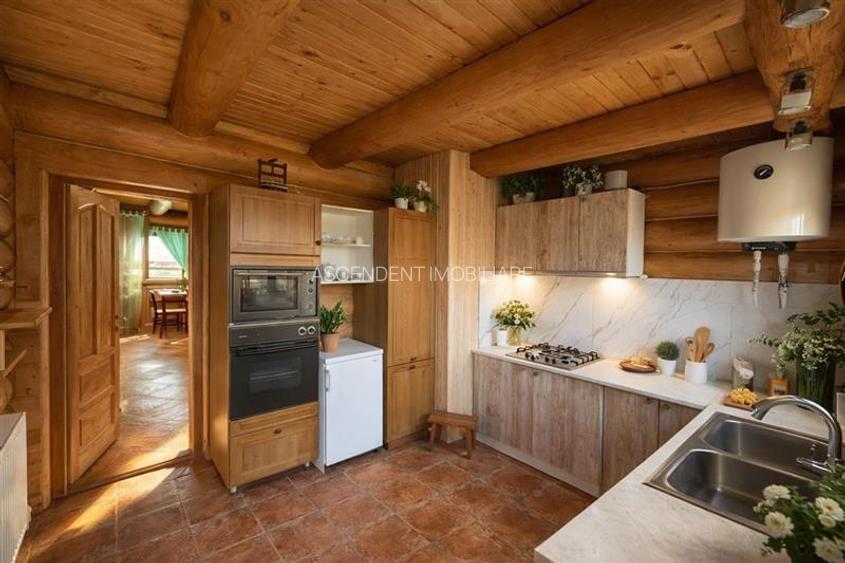 Resedinte montane,mobilate,echipate, jacuzzi,piscina,pretios areal,Sambata de Su - 18