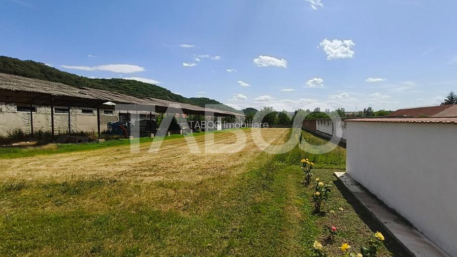 Platforma industriala cu cladiri de vanzare in Salistea de Alba - 18