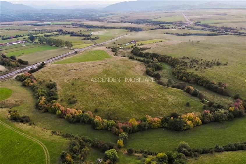 FILM! Parcela imprejmuita,design casa,aviz constructie,1.085 mp,Panicel,Rasnov - 9