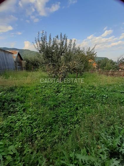 Casa Schiulesti - 16