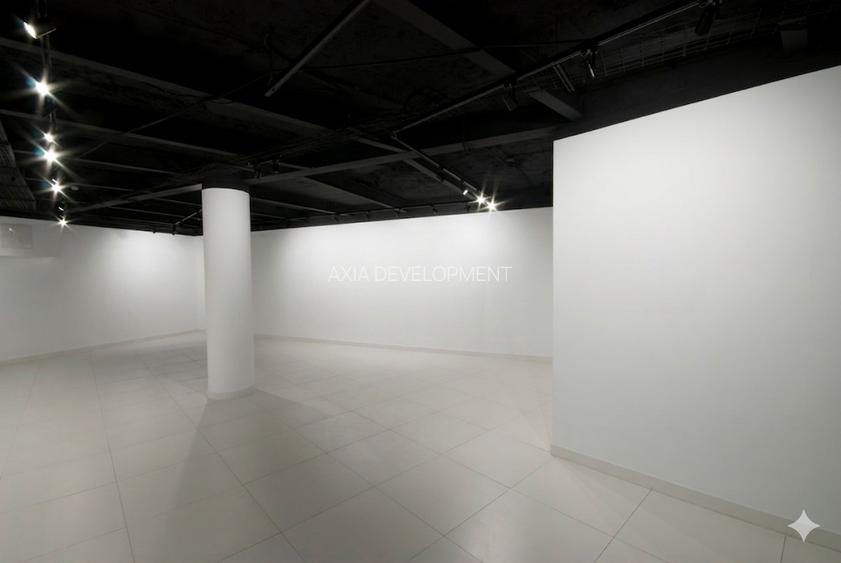 Spatiu pentru expozitii, galerie de arta - Romana - 3