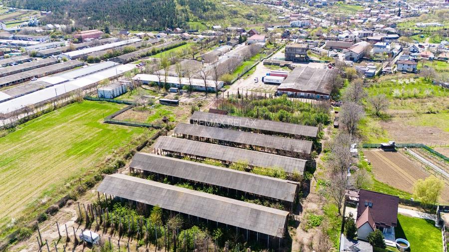 Teren Industrial 3Ha și Hală 1000mp de Vânzare în Tomesti - IAȘI - 6