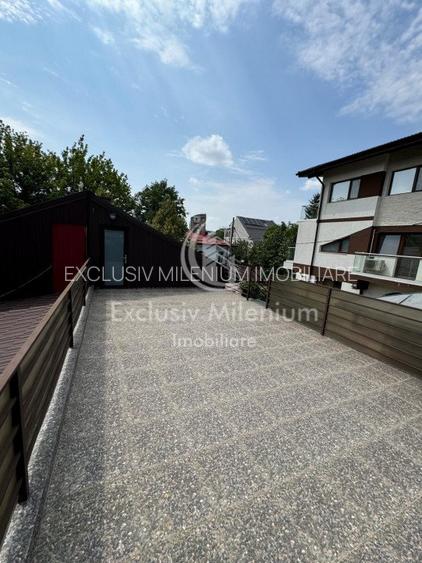 Casa Birouri Parcul Circului - Lizeanu - 10