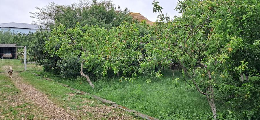 Lumina-teren 4297mp cu deschidere la DN - 6