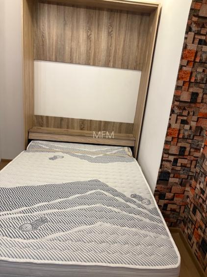 Ultracentral, langa parc, curata, utilata complet - 6