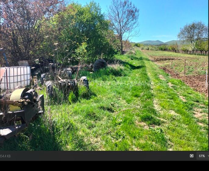 Parcele teren Paclisa, Jud. Arad - 3