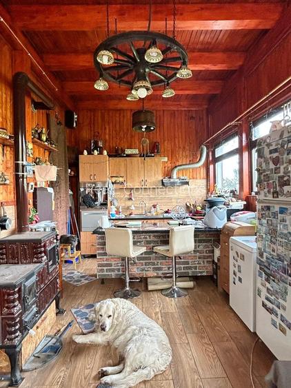 Casă individuală Buftea, 3.162 mp teren, ieșire spre lac - 27