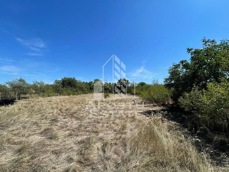 Casa cu teren 3407 mp, la asfalt, Seceani, 26 km de Timisoara. - 6