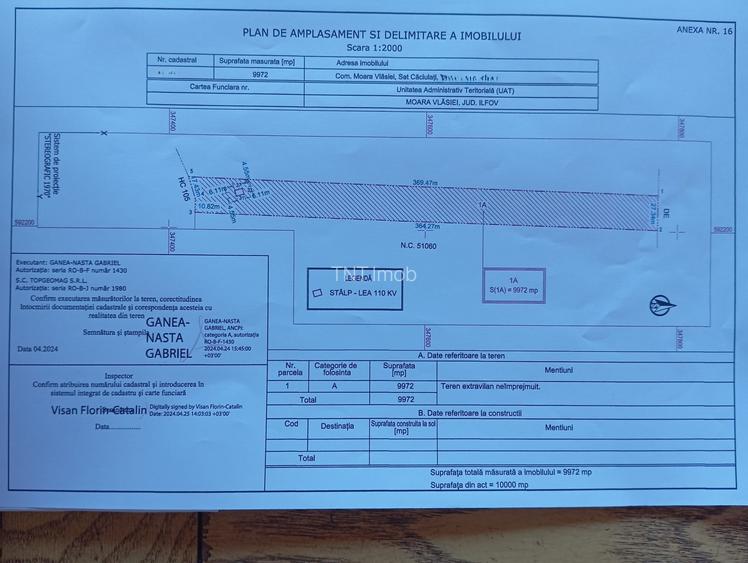 Teren 10 000mp | Caciulati - Moara Vlasiei | Deschidere 48m - 1