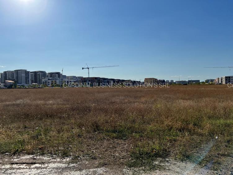 Titan - Policolor- Drum Gura Solcii 3050 mp - 6