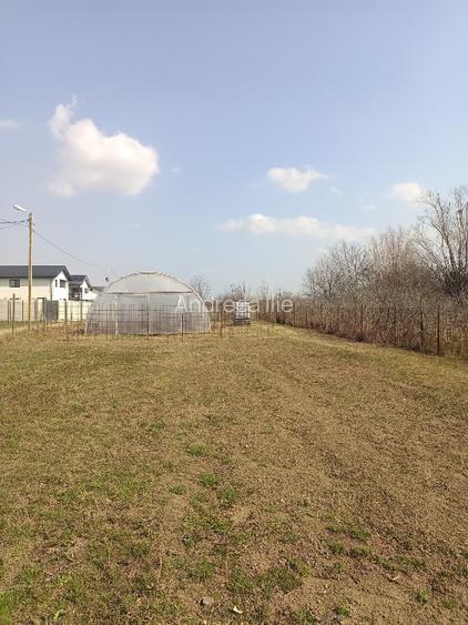 Teren parcelabil, intravilan, 6400mp cu casa renovata - ideal investitor  - 5