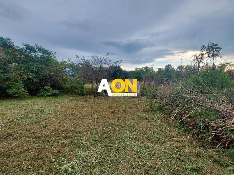 Casa Ciugud Toate Utilitatile cu Teren 3000MP - 3