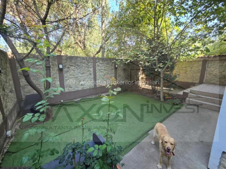 Vila individual, P 1 M-  Bucuresti Noi,  constructie modernă, 9 camere - 4