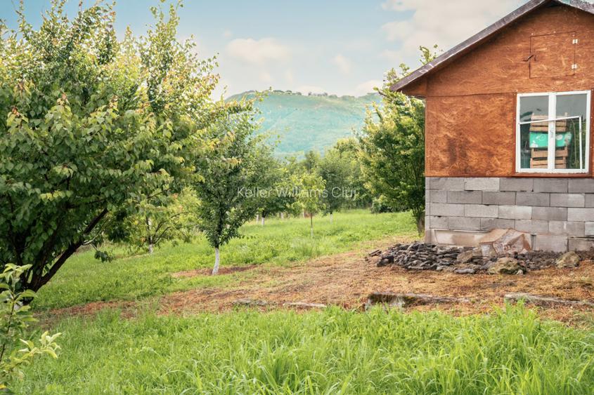 Viseaza, construieste, culege: Livada Paradisului - De Vanzare - 5