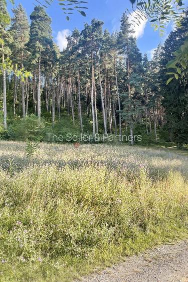 Teren zona Livezii - 5