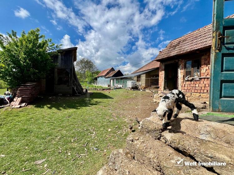 Exclusivitate ! Pozitie excelenta, casa Savadisla - 3