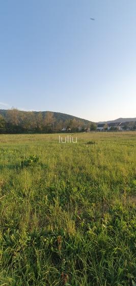 5200 sau 2600 mp teren vanzare,direct proprietar, parcelabil, apropiere Arinis - 10