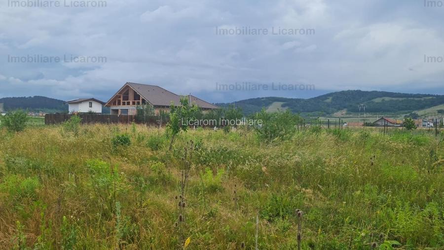 De vanzare teren  502 mp Harman Aleea 14 pret 40000 euro - 5