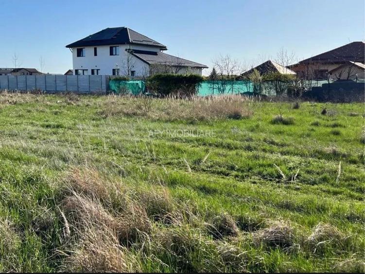 De vânzare: teren intravilan 775 mp (Lot 34) în Domnești – Ilfov - 2