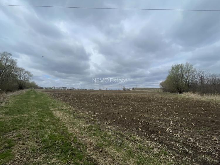 TEREN INTRAVILAN | 50 ARI | ZONA PERIFERICA RADAUTI - 4