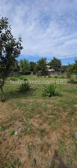 Teren intravilan + extravilan 10.537 mp – casa, livada sau ferma de familie - 14