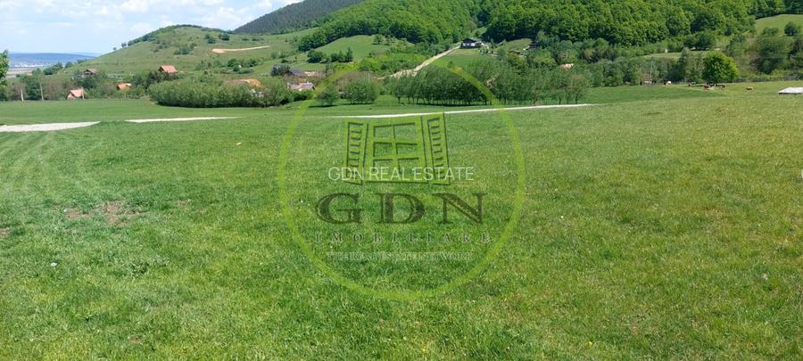 Teren extravilan 1704 mp in Gura Raului, utilitati - 4