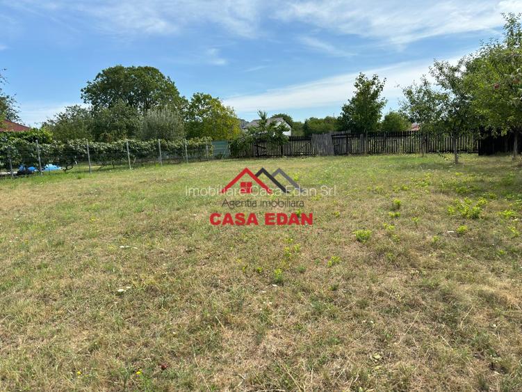 ●Teren in Campina--920mp--28.000e● - 4