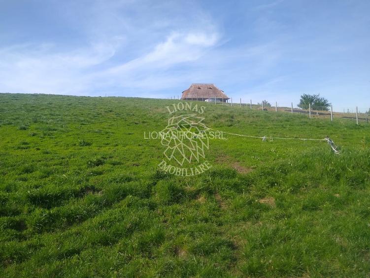 Teren 2500 mp-ideal agricultura/cabane/sera-panorama-Monariu - 4