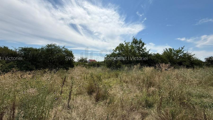 REL4001178 Teren I De Vanzare I Domnesti - 4