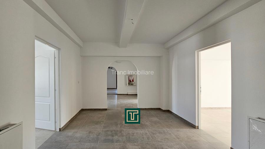 Proprietate multifunctionala - teren generos, cladire si hala in Lugoj - 7