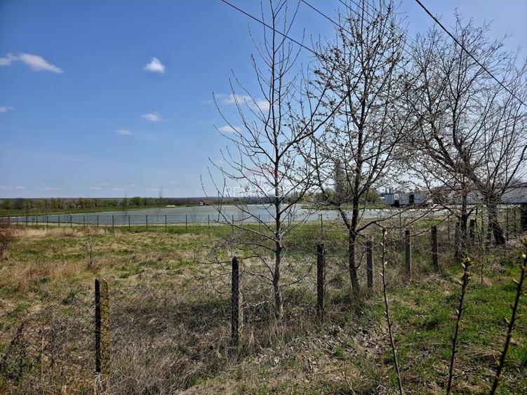 Teren 7,000mp Girov / deschidere 45 metri - 6