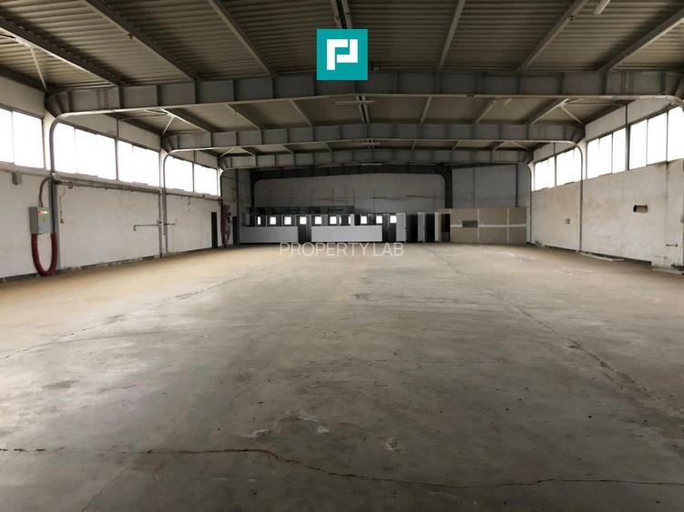 Hală cu teren intravilan de 3500 mp, în Sebiș Arad - 3