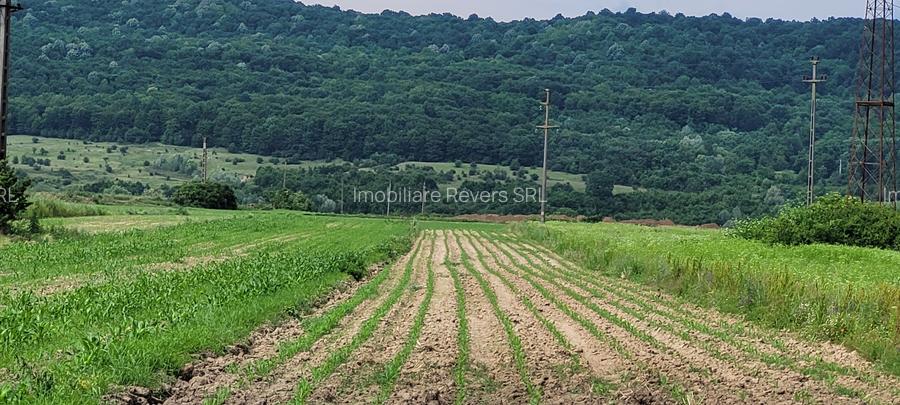 TEREN AGRICOL BABENI LANGA ABATOR LA PROVINCIA - pretabil ferma cu panour solare - 6