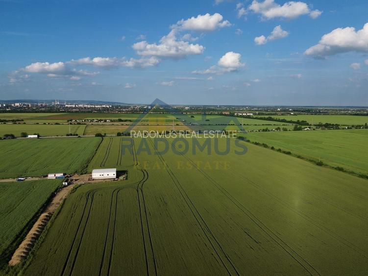 TEREN INTRAVILAN 10.000 MP – PLOIEȘTI VEST - CARTIER MITICĂ APOSTOL - 6