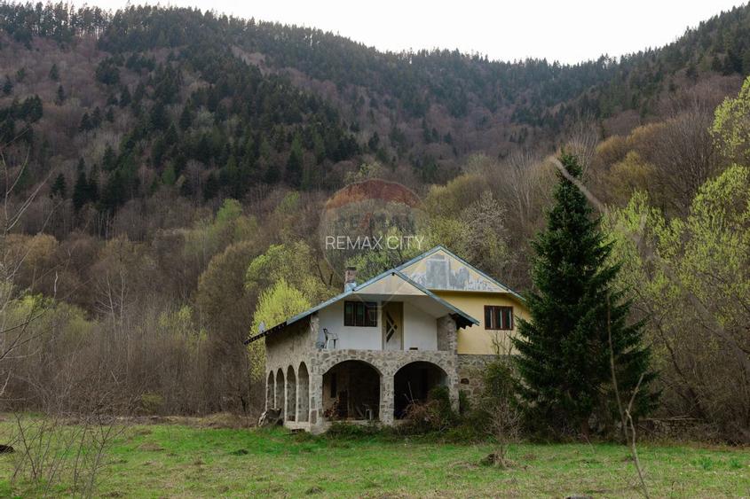 Casa si teren intravilan Tarcau - 24