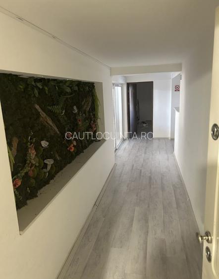 Spatiu comercial | Chitila | Salon - 3