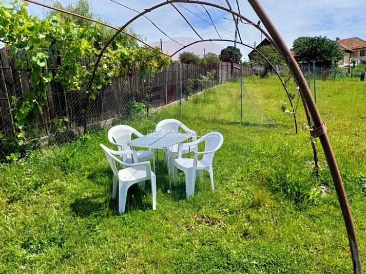 Vânzare casa la munte - zona turistica - Baia de Fier - 30