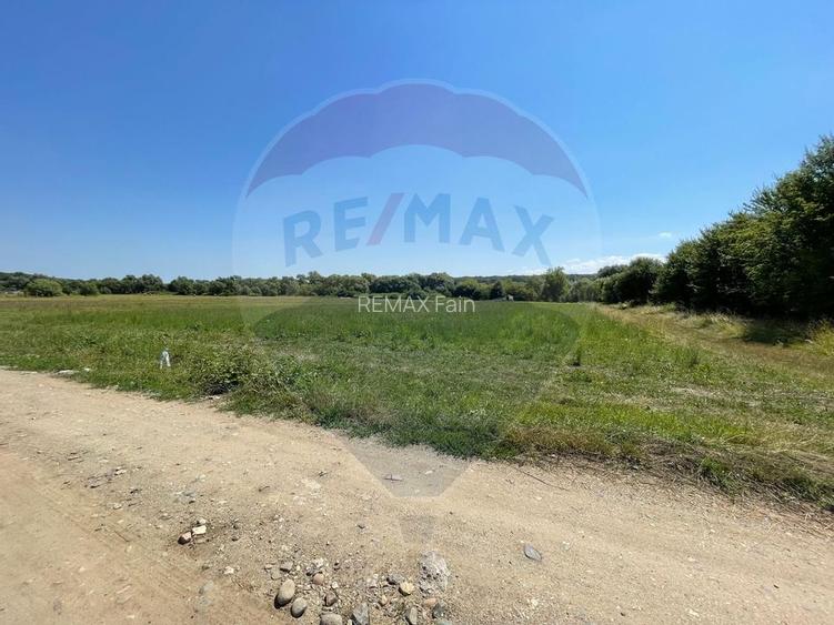 TEREN  INTRAVILAN  5000mp ORAS CISNADIE  STR. SELIMBARULUI - 10