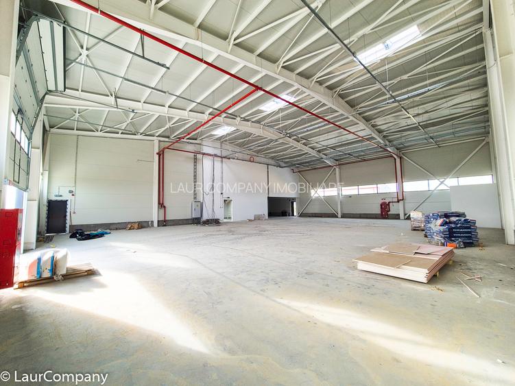 Hale,spatii industriale Albota,Pitesti Arges - 5