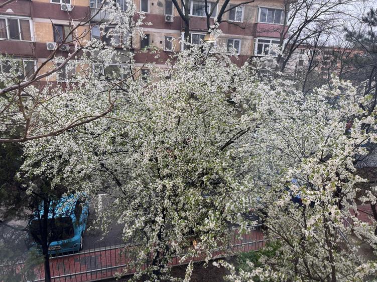 Muncii Ion Tuculescu apartament cu 2 camere de inchiriat - 15