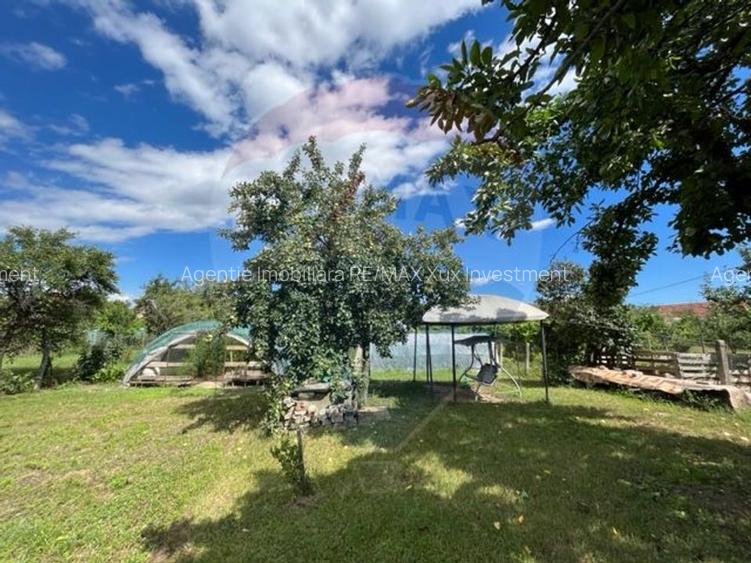 Casă  str. Progresului , Sebes, destinatie : uni/multifamiliala - 14