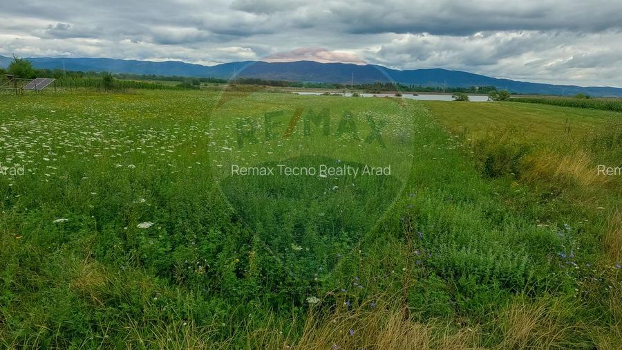 Teren superb Unciuc / jud.Hunedoara - 6