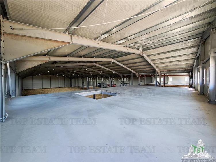 Hala Industriala Balotesti - Spatiu Generos si Accesibilitate Excelenta - 5