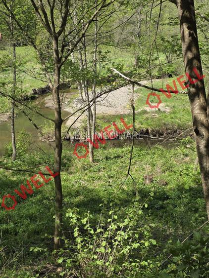 De vânzare teren extravilan în  Kuvaszó! - 4
