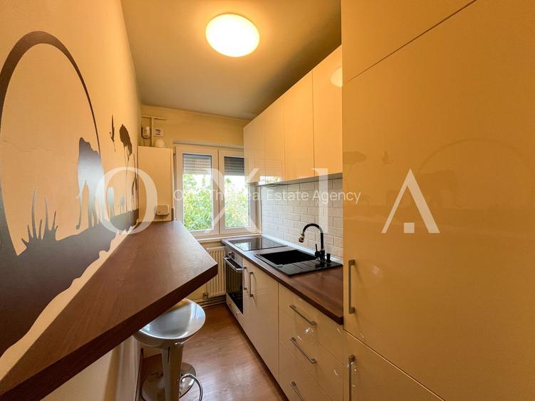 SX567 Take Ionescu, Ideal Investitie - 7